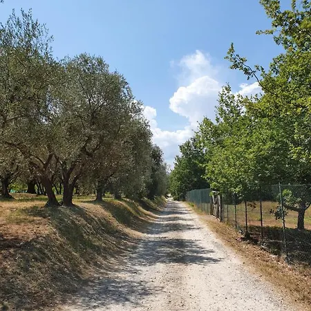 Sweet In Chianti *