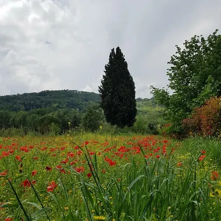 Casa vacanze Sweet In Chianti Tavarnelle Val di Pesa