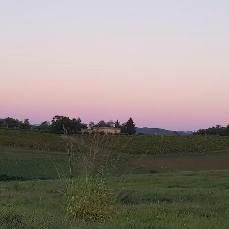 Sweet In Chianti *